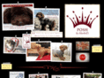 poshdoglondon.com