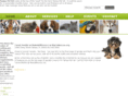 tampapetvet.com