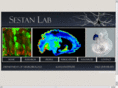 frontalcortex.org