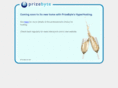 intersynch.com