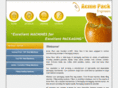 acmepackingmachine.com