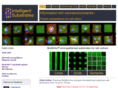 microenvironment.net