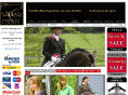 saddleupinternational.co.uk