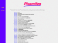 picamilon.net