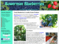 realblueberries.com