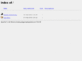 polygonspluspixels.com