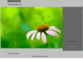 shadetreeimagery.com