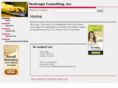 techlogixconsulting.com