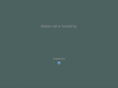 blaizer.net