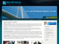 netstriveconsulting.com