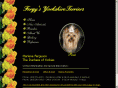 yorkshireterriers.ca