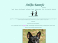 ankhubasenjis.com