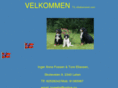 viboberneren.com