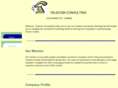 telecom-consulting.org