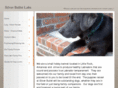 silverbulletlabs.net