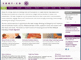 briansooyco.com