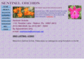 sentinelorchids.com