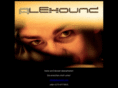 alexound.com