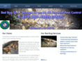 bedbugger.net