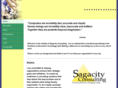 sagacityconsulting.com