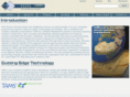 iisysgroup.com