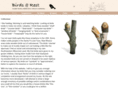 birdsatrest.com