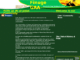 finugegaa.com