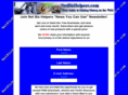 netbizhelpers.com