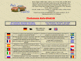 auto-elektrik.de