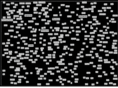anythingbinary.net