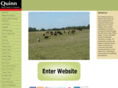 saltcreeklandcattle.com
