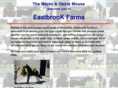 maresofeastbrook.com