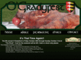 ogradyfest.com