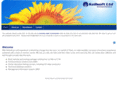 kellsoft.net