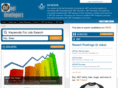 dot-net-developers.com
