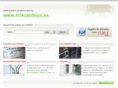 miscanthus.es