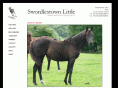 swordlestownlittle.com