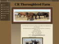 crthoroughbredfarm.com
