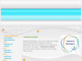 ingenieriaestrategica.com