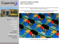 copernicaltd.co.uk