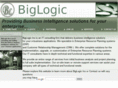 biglogicinc.com