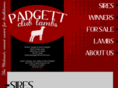 padgettclublambs.com