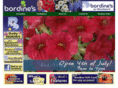 bordine.com