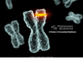 phenogensciences.com