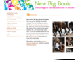 newbigbook.com