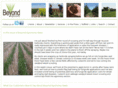 beyondagronomy.com