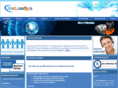 maximoimplementation.com