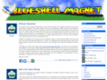 blueshellmagnet.com