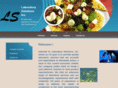 labsolutions1.com