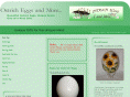 ostricheggsandmore.com